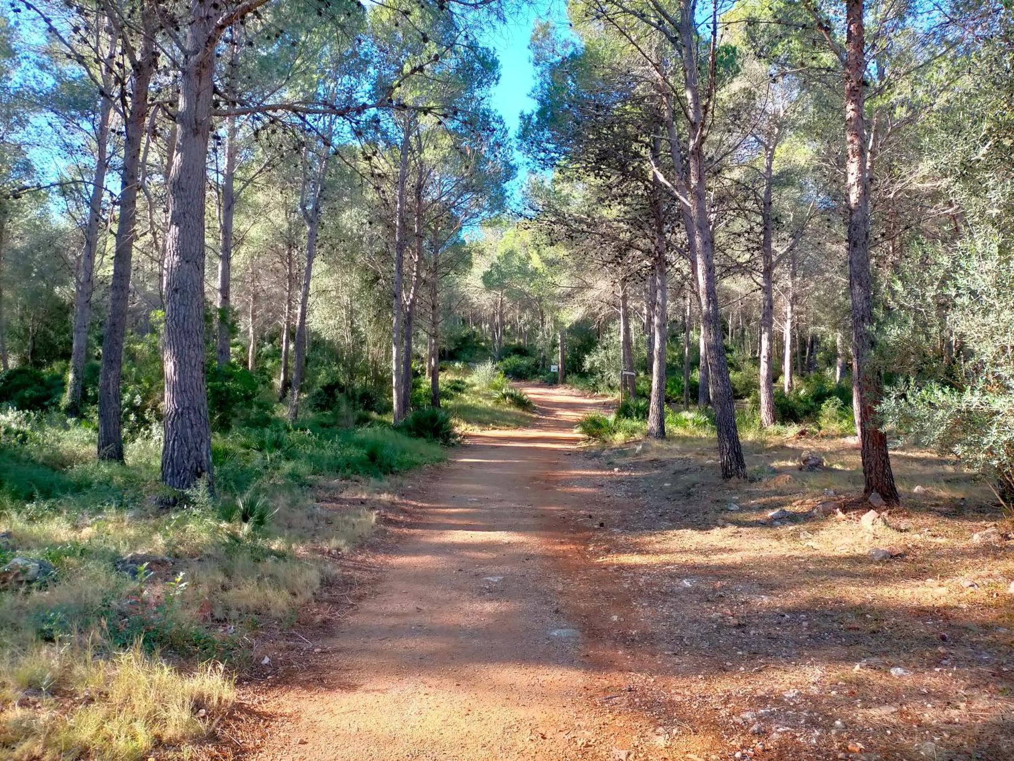 Vila Amborget San Jorge  Exteriér fotografie